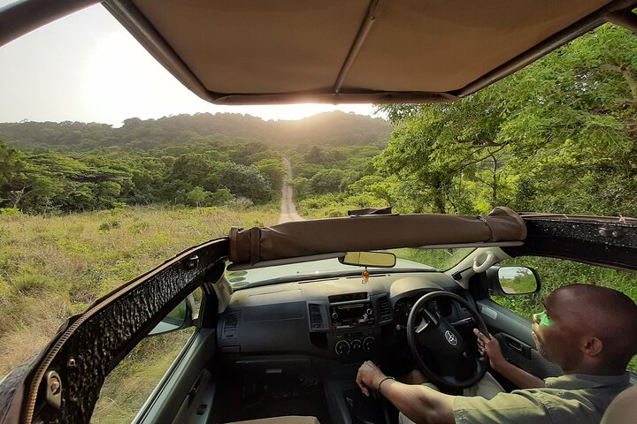 6 Day Kruger to Coast Essentials - Photo 1 of 8